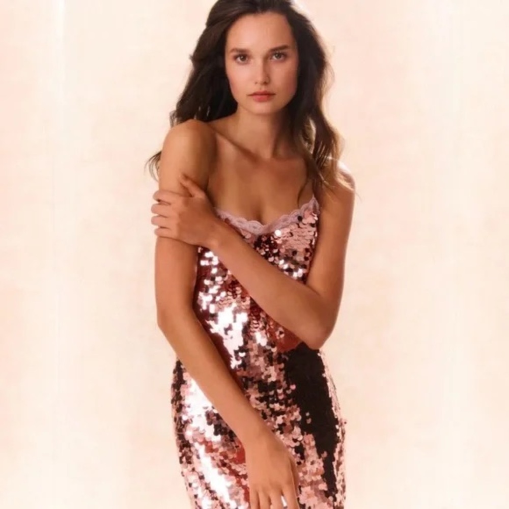 LoveShackFancy Grecia Dress Rose Gold Sequin Floral NWT Size 4
